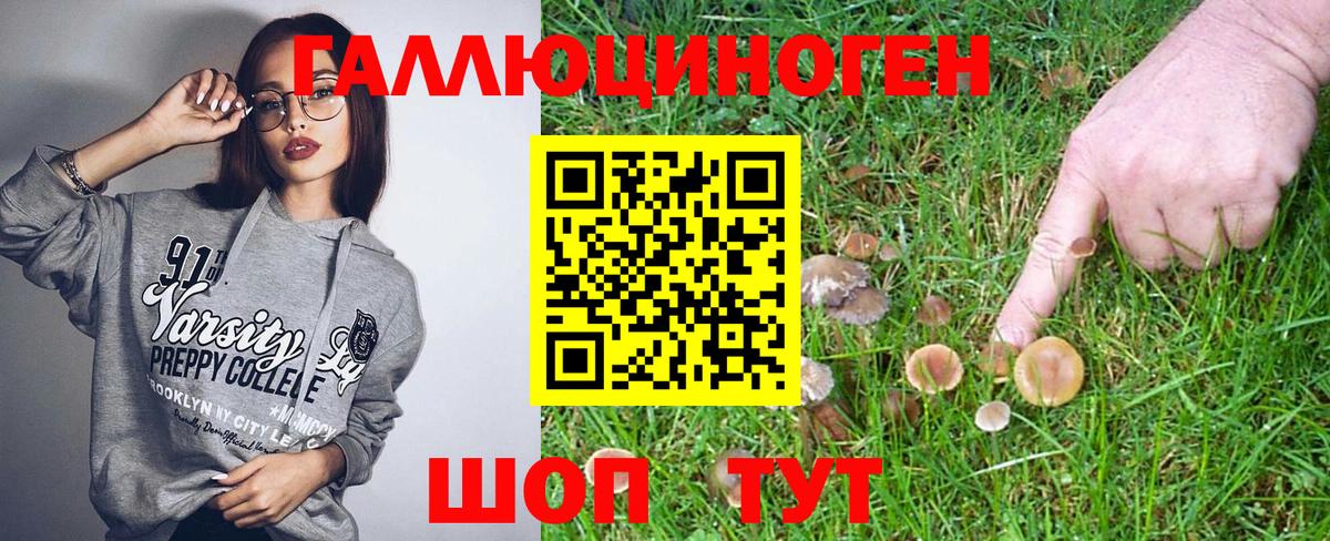 Галлюциногенные грибы Magic Shrooms  Галлюциногенные грибы Psilocybine cubensis  Вход с VPN  Оренбург 