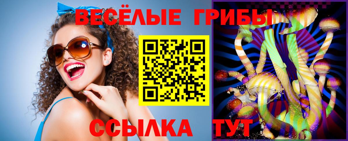 Галлюциногенные грибы Cubensis Оренбург